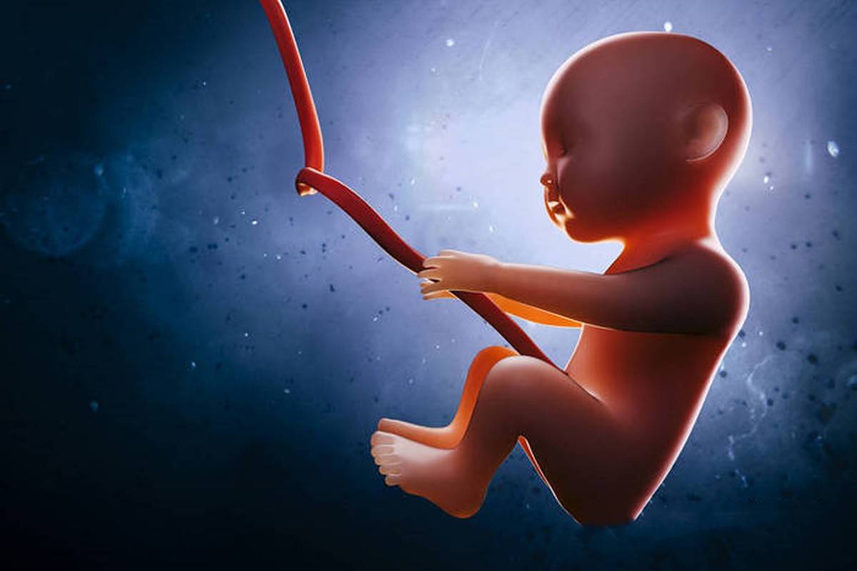 孕期胎儿在黑漆漆的子宫里会无聊吗？不！胎儿的“日常”很有趣 - 3