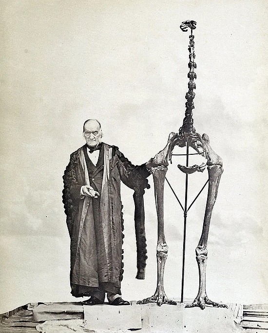 理查德欧文与恐鸟骨骼站在一起 | Wikimedia Commons