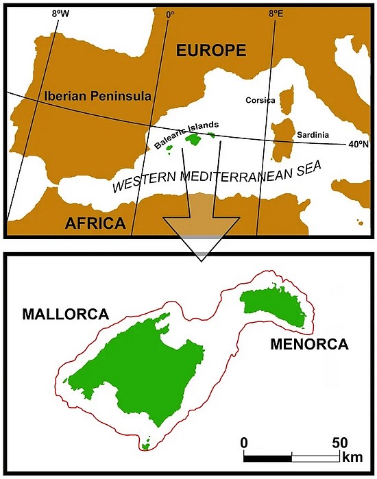位于地中海西侧的巴利阿里群岛（上）以及发现了巴利阿里岛山羊的马略卡岛和梅诺卡岛（均属于巴利阿里群岛）。图片来源：Pere Bover