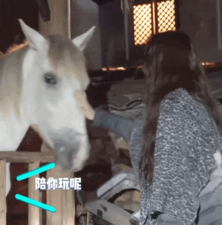 刘亦菲片场和马搞笑互动 同步摇头晃脑超可爱 - 1