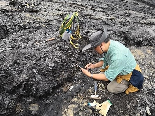 邓涛研究员在检查新发现的化石。（吴飞翔 摄）