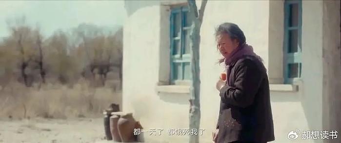 一部戏一个样，赵本山的老搭档里，黄晓娟称得上老戏骨 - 6