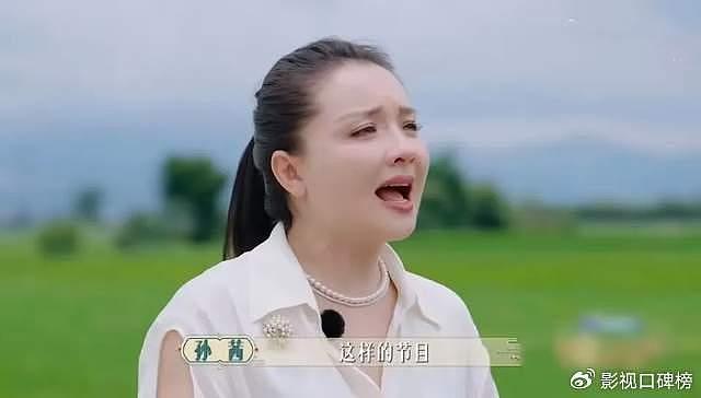 孙茜表演型人格被审判？继漠视张小斐产生争议后，口碑再度下降 - 2