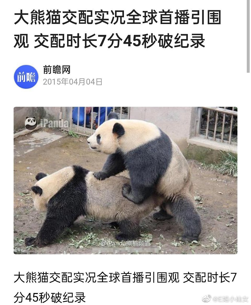 我不明白为什么有男的会想让大家觉得自己是熊猫本熊 - 1