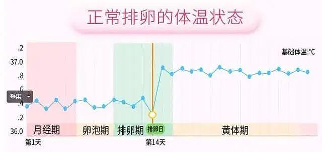 比赛输了就该吃避孕药？！凭什么要对郑钦文这么大恶意… - 28