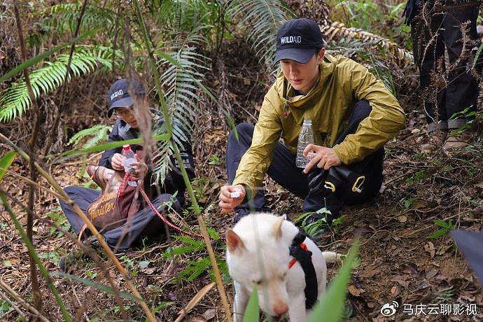 《寻护者》小众题材，播出大众效果，王一博的流量，恰好是正能量 - 5