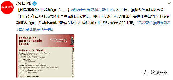 娱乐日报|TVB演员祝文君去世；高瀚宇恋情疑曝光；西方文体界集体制裁俄罗斯 - 88
