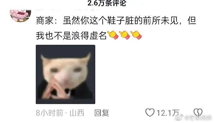 商家：我承认鞋子确实很脏，但是我也有的是力气和手段 - 6