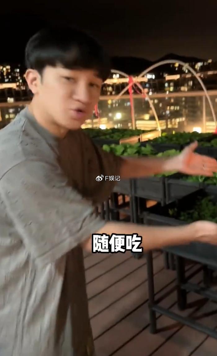 王祖蓝一大家人为饼印妈妈庆生 展示豪宅阳台亲自种的蔬菜 - 8