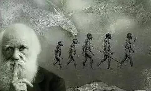 进化论是最大谎言？千名科学家联名发言，人类起源和古猿猴无关？ - 1