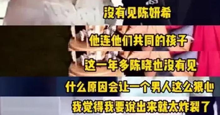 陈晓陈妍希离婚风波升级，孩子生父引猜疑，陈晓不回应早有预兆 - 6