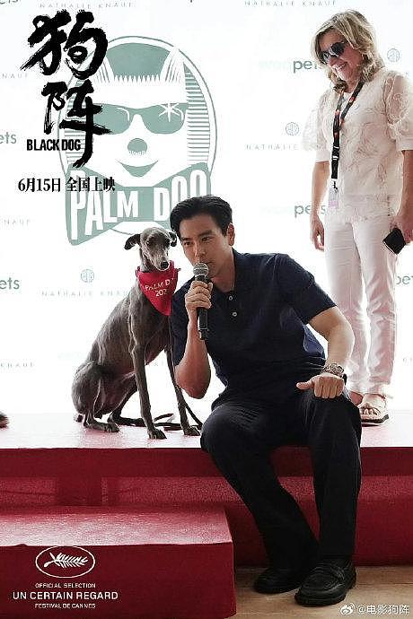 《狗阵》是华语影史上少见的使用了100多只狗狗参与拍摄的电影… - 17