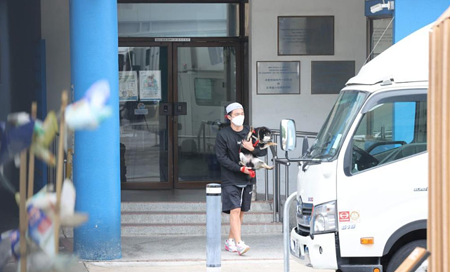发福的TVB小生杨明带爱犬去看病 不能开车的他有女友开车接送 - 5