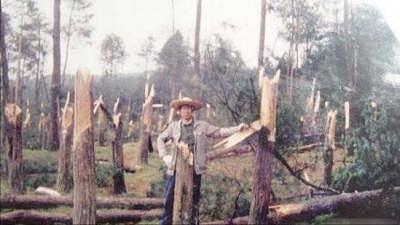 1999年磨山离奇事件：白雾四起、狂风大作，700多棵老树拦腰折断