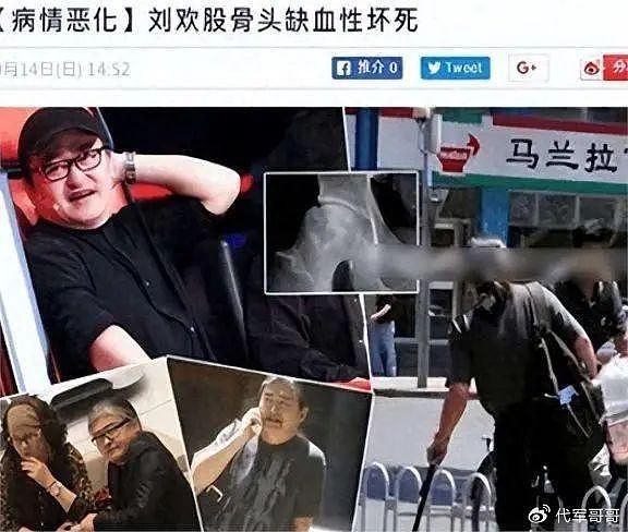 事实证明，嗜酒如命，患“不死癌症”的刘欢，早已走上另一条大道 - 2