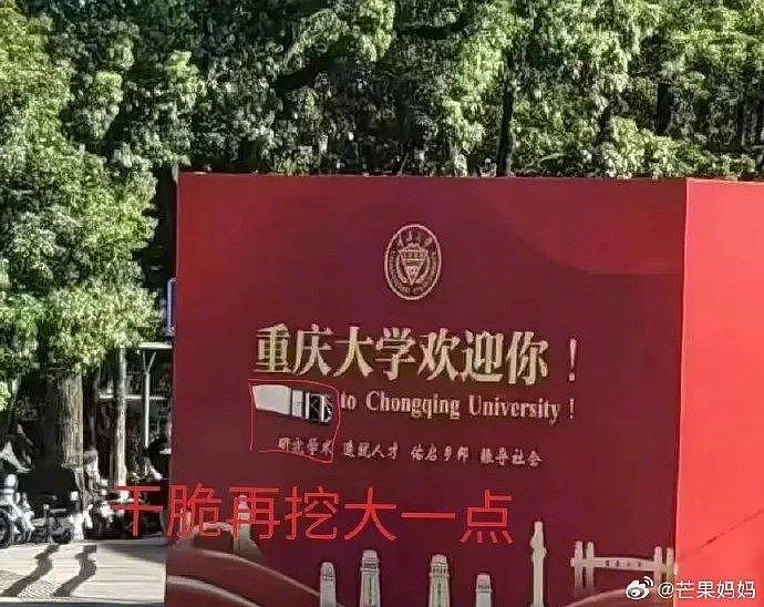 大学是个巨大的草台班子 - 2