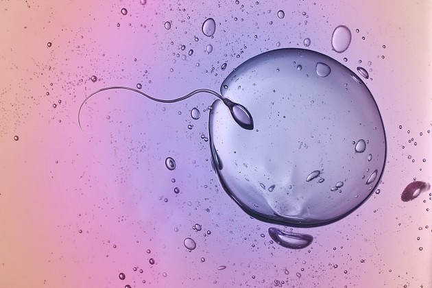 精子年龄新测量方法可能是妊娠成功的预测指标 - 1