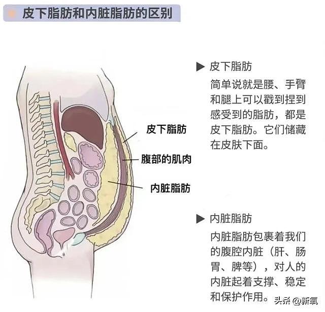 47岁舒淇毁容式近照曝光！满头白发，是婚后8年不幸福吗？ - 18