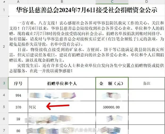 洪涝灾区捐款最新进展：何炅捐50万、杨幂捐物资、李湘受争议 - 6