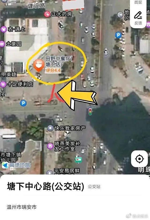 温州一女子高举日本国旗招摇过市，一路通行无阻没人管，网友怒了 - 2