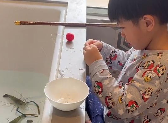 TVB小生黎诺懿让儿子在家抗疫不无聊 将浴缸改钓虾场让儿子解闷 - 3