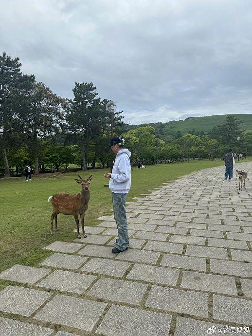 网友在奈良偶遇马思唯和新女友喂小鹿，新女友也是身高腿长啊 - 3