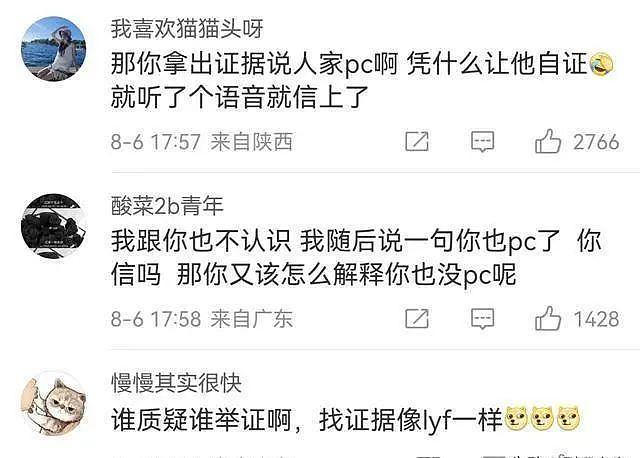 戴向宇工作全部叫停，发声贴出了无犯罪证明，却依旧被网友质疑！ - 6