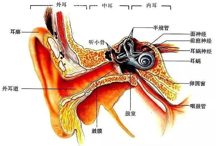 当年恋爱曝光被逐出bp，如今却糊到无人问津，实力烂到疑似患病？！ - 22