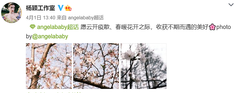 黄晓明低调捐物资，驰援上海首位艺人，还遭网友嘲讽不管家乡 - 23