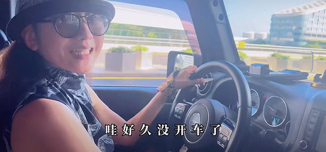 64岁杨丽萍难得开车，刹车踩太猛吓得张大嘴，疑未系安全带引争议 - 3