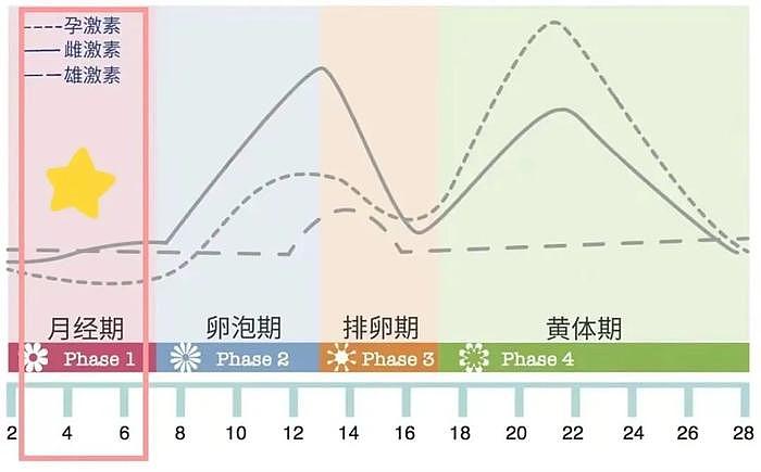 郑秀文演唱会生图被骂上热搜？！谁规定女性必须前凸后翘才是美丽？ - 26