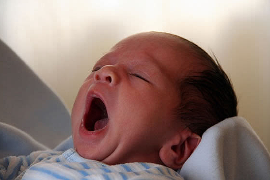 宝宝刚睡醒又打哈欠，是没睡饱吗？这或许是大脑发育优秀的标志 - 4