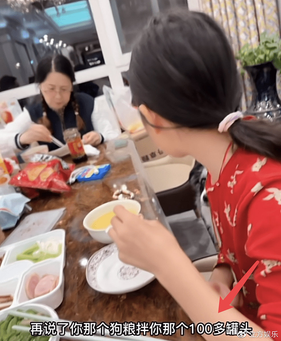 李小璐晒女儿吃春饼视频 甜馨用袖子擦嘴被嘲邋遢 - 6