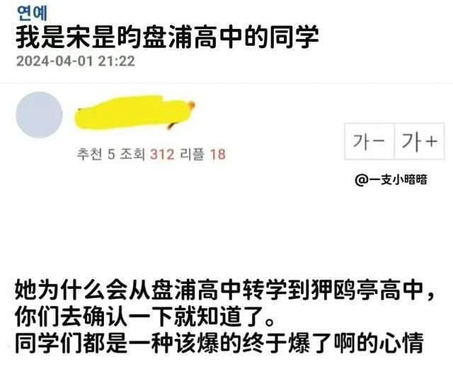 韩星宋昰昀承认校园霸凌，曾将同学打致重伤，还是黄轩前女友 - 13