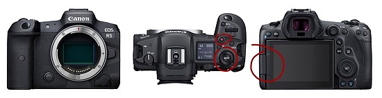 佳能EOS R3专微相机拍鸟试用 - 3