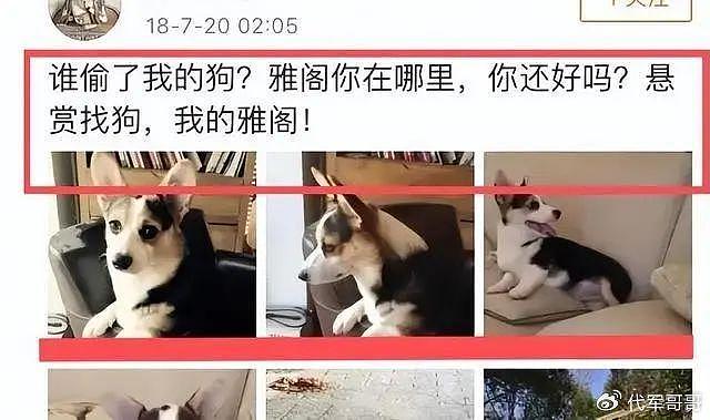 独宠袁立12年，分手后转身与张怡宁闪婚，徐威现在生活的如何？ - 33