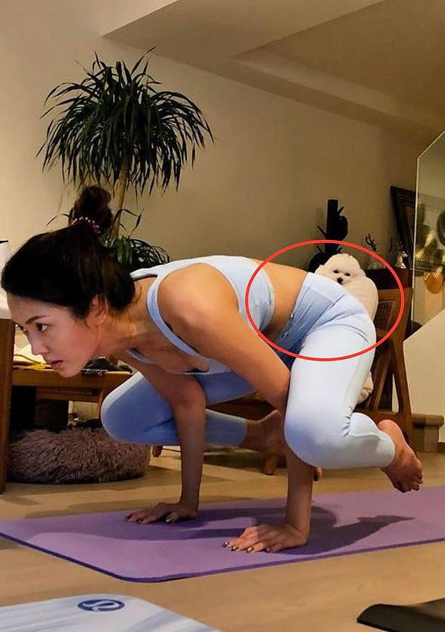 35岁港姐陈庭欣做瑜伽，腰间被勒出一圈肉，与富豪男友已交往4年 - 6