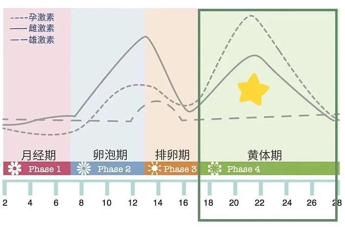 郑秀文演唱会生图被骂上热搜？！谁规定女性必须前凸后翘才是美丽？ - 33