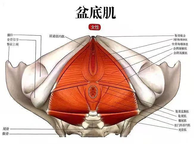 爆火后嫁给富豪老公，怎么看Lisa都在复刻她的成名之路吧... - 14