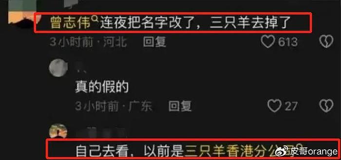 私生活混乱？辛巴三只羊事件走向失控，闹剧后5张脸，最让我意外 - 17