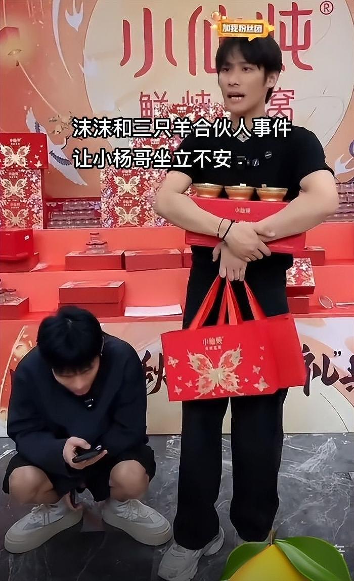 小杨哥慌了！辛巴再点名：卢庆文和沫沫无关，再追究毁的是小杨哥 - 24