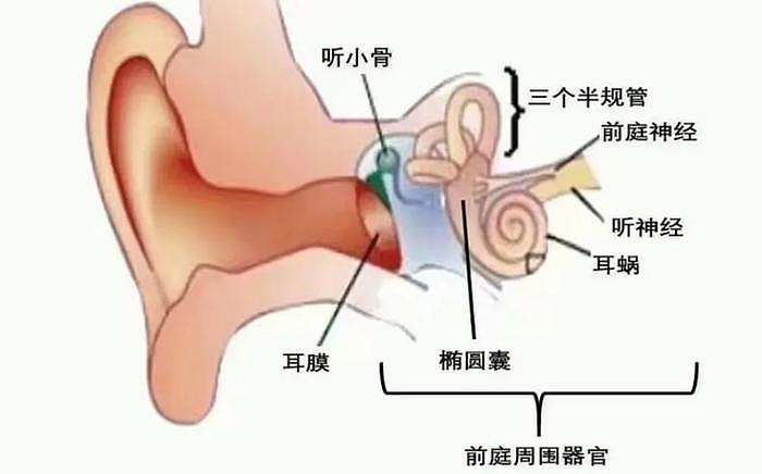 当年恋爱曝光被逐出bp，如今却糊到无人问津，实力烂到疑似患病？！ - 20