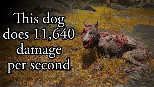 《艾尔登法环》设计漏洞 变种狗一次攻击造成超过 11,000 点伤害 - 1