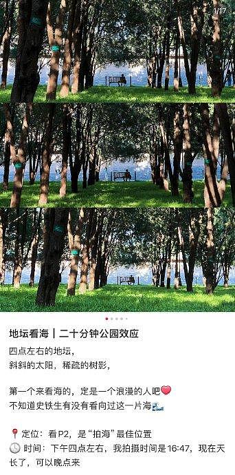 新的诈骗已经出现：《地坛看海》 啊啊啊啊啊啊啊建议薯人虚假出图纳入征信！ - 3