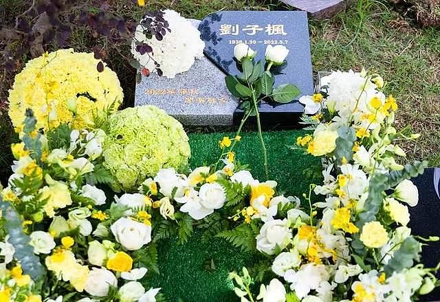 83岁刘子枫在上海安葬，女儿穿素衣跪墓碑擦拭，落葬仪式显冷清 - 4
