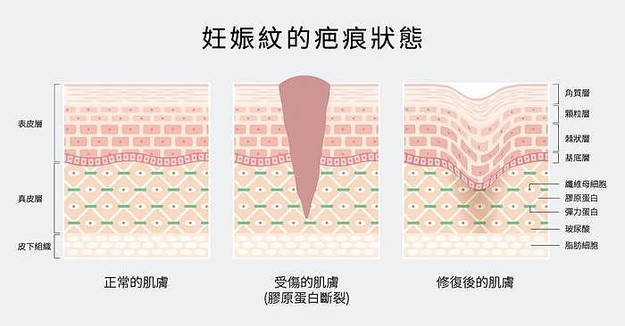 她别真是未婚先孕吧，顶着自毁前程的风险也要和渣男闪电完婚... - 37