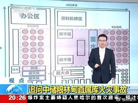 中储粮轰轰烈烈排查，央视：与投毒何异？胡锡进质疑：早干嘛去了 - 6