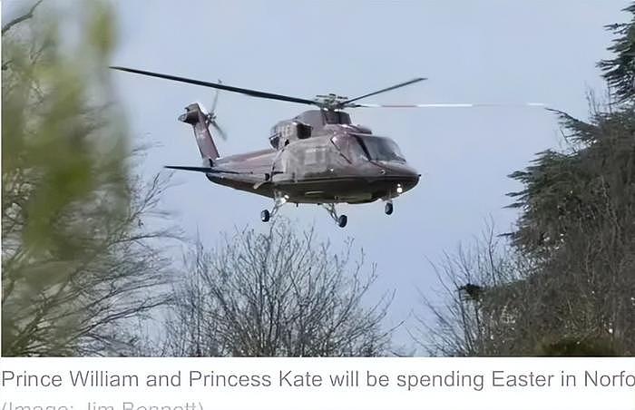 又反转！凯特王妃露面视频被质疑造假，服装发型与七年前一模一样 - 15