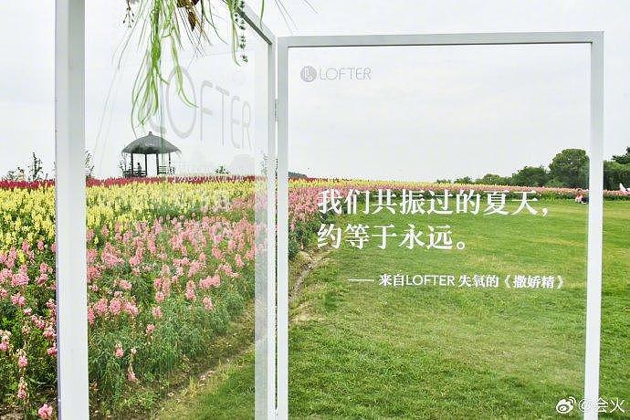 看到大家在LOFTER金句装置的杭州径山花海里打卡拍照的样子真的心软软了… - 9