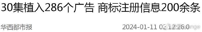 2024上半年最令人失望10部国剧：《黑土无言》第10，第1名没争议 - 12